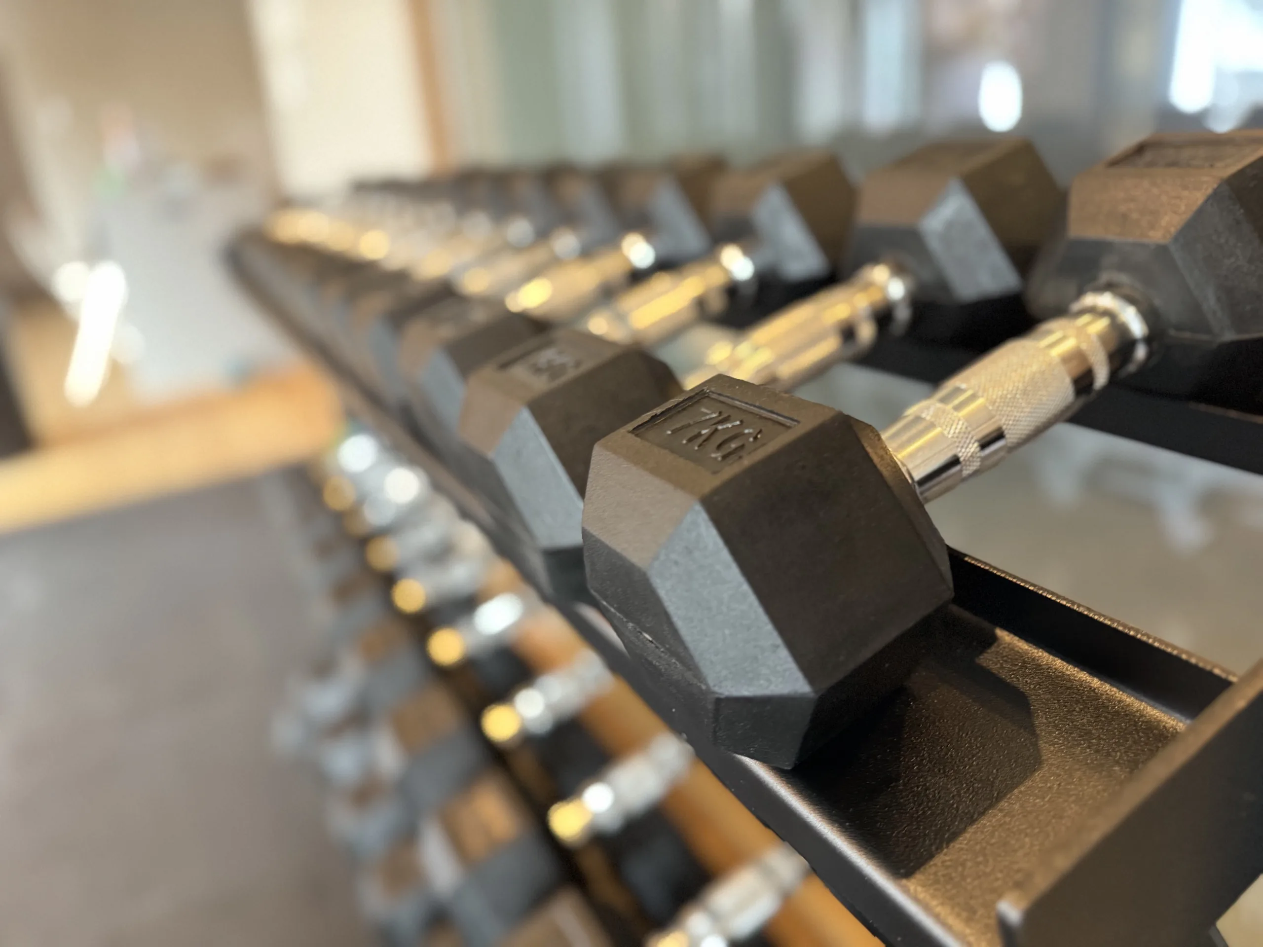 Private gym equipment